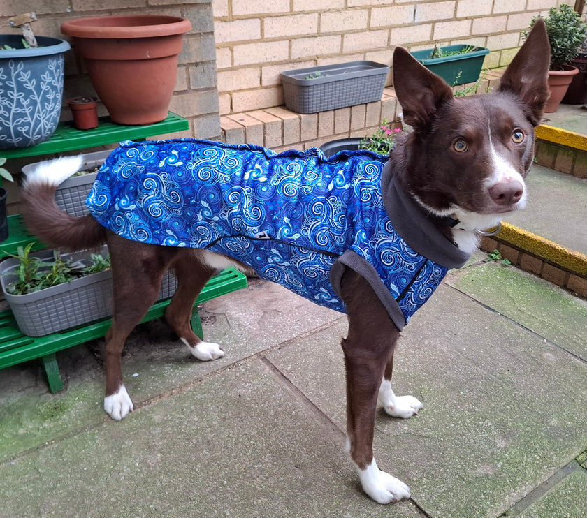 Destiny McTog - Microfleece Waterproof Dog Jumper - Step In Poppers