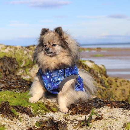 Destiny McTog - Waterproof Microfleece Dog Jumper - Step In Poppers