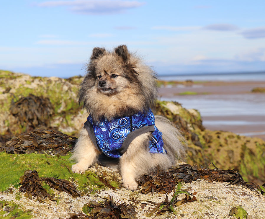 Destiny McTog - Microfleece Waterproof Dog Jumper - Step In Poppers