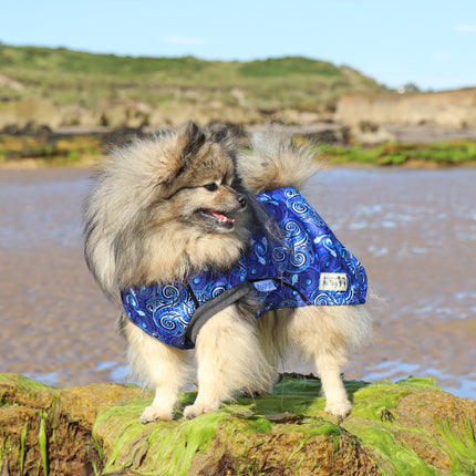 Destiny McTog - Waterproof Microfleece Dog Jumper - Step In Poppers