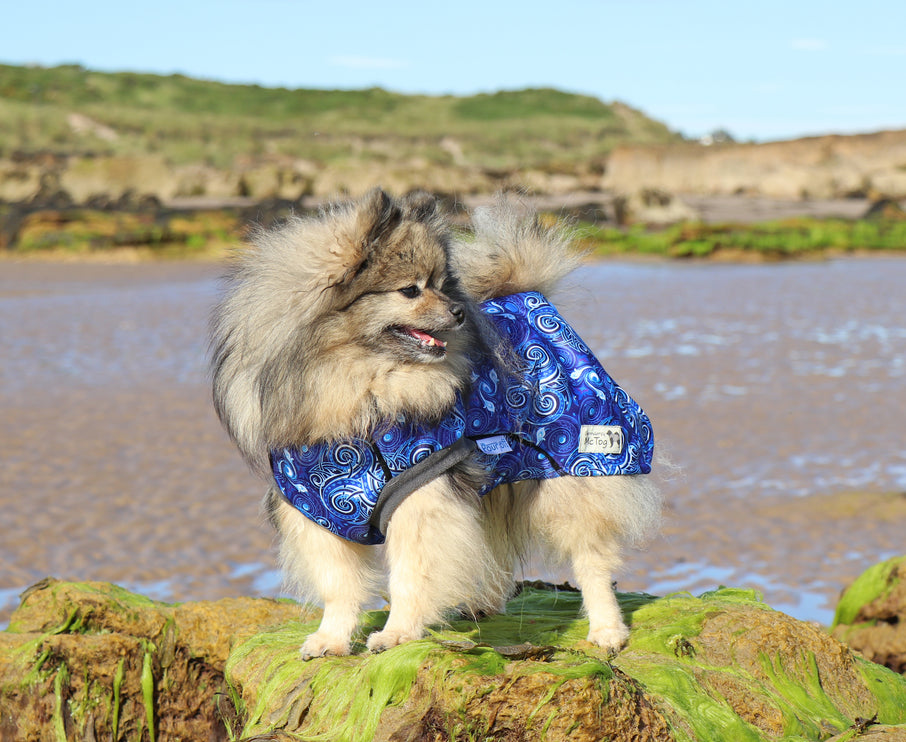 Destiny McTog - Waterproof Microfleece Dog Jumper - Step In Poppers