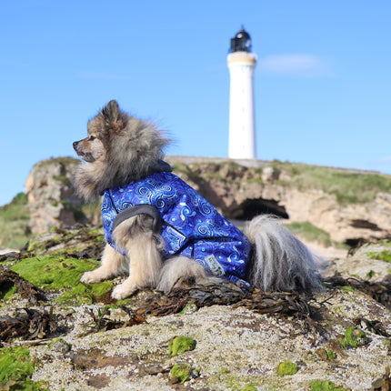 Destiny McTog - Waterproof Microfleece Dog Jumper - Step In Poppers