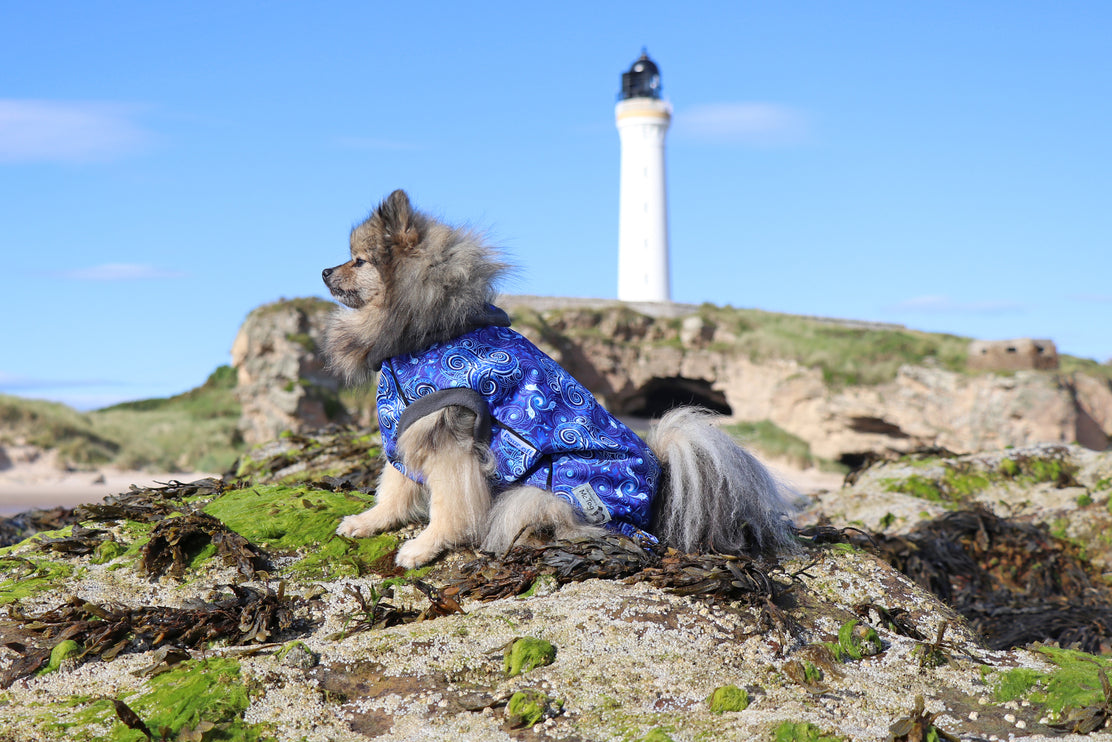 Destiny McTog - Waterproof Microfleece Dog Jumper - Step In Poppers