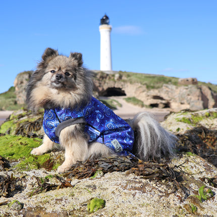 Destiny McTog - Waterproof Microfleece Dog Jumper - Step In Poppers