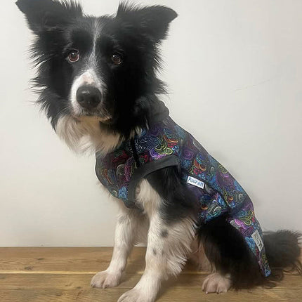 Dreamer McTog - Microfleece Waterproof Dog Coat