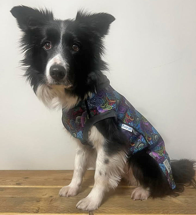 Dreamer McTog - Microfleece Waterproof Dog Coat