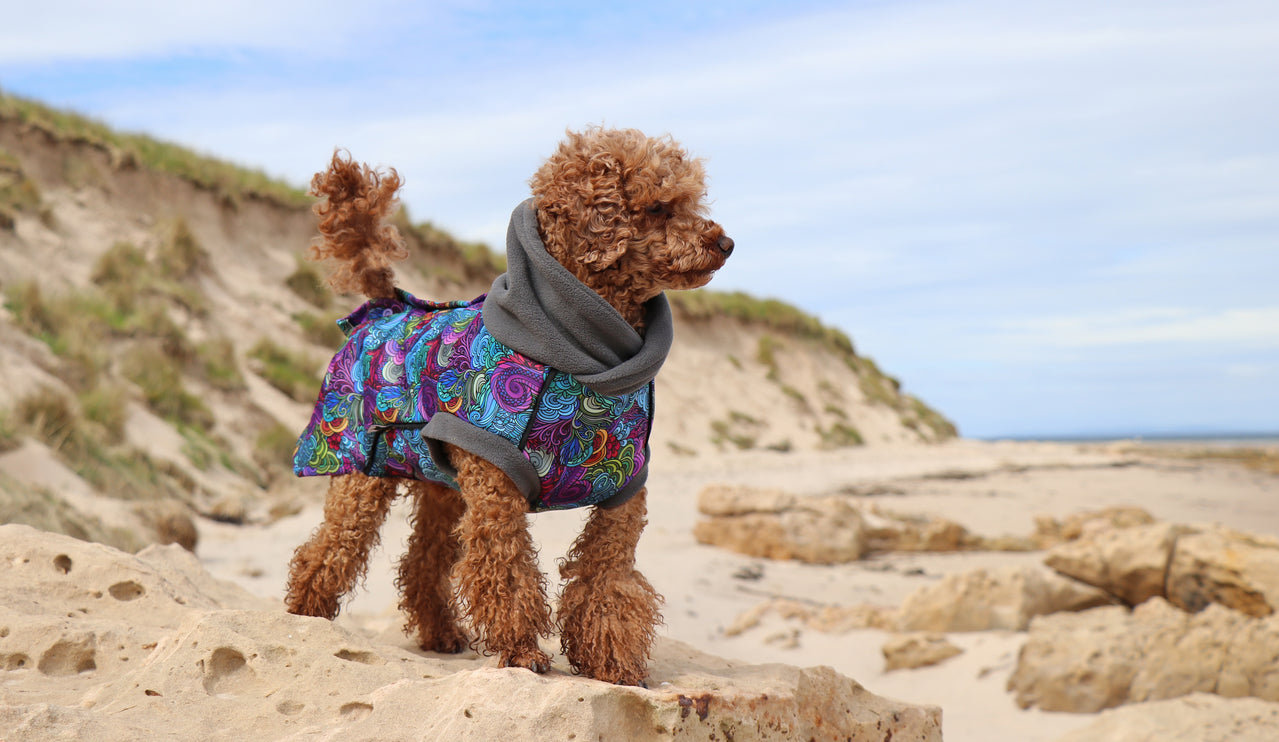Dreamer McTog - Waterproof Microfleece Dog Coat - Back Poppers