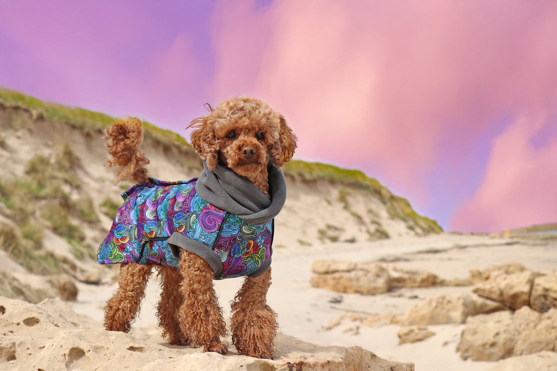 Dreamer McTog - Microfleece Waterproof Dog Coat - Back Poppers