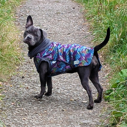 Dreamer McTog - Microfleece Waterproof Dog Coat - Back Poppers
