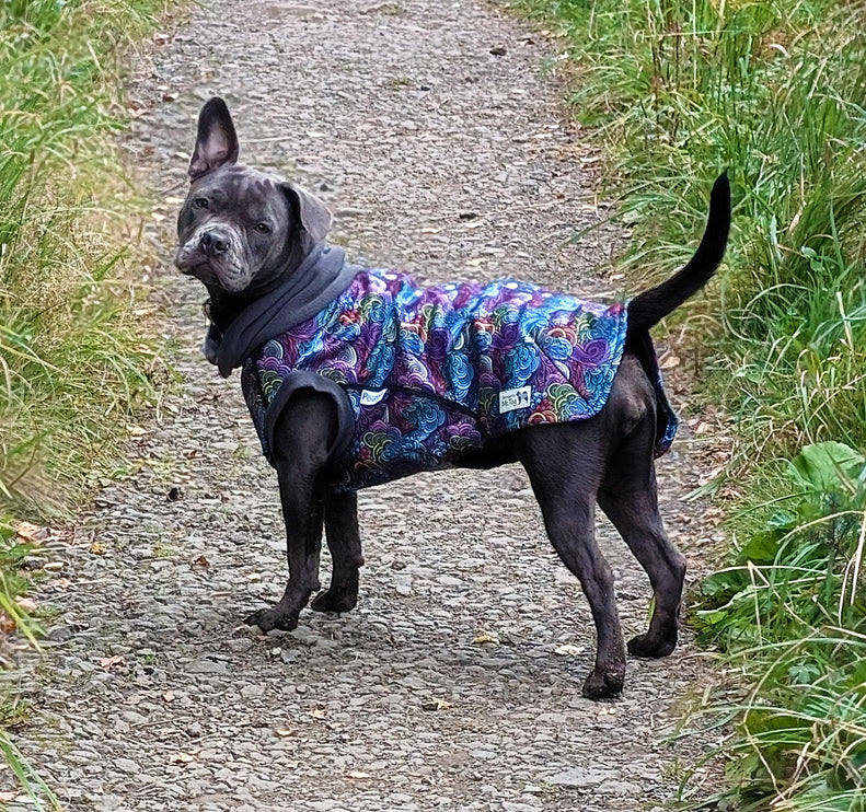 Dreamer McTog - Microfleece Waterproof Dog Coat - Back Poppers