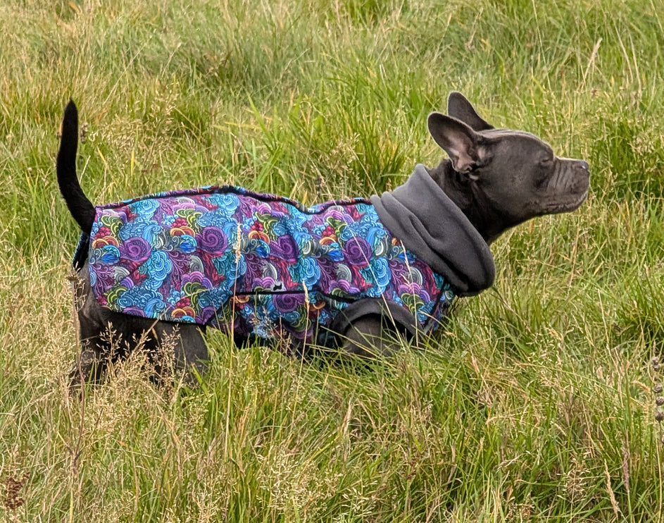 Dreamer McTog - Microfleece Waterproof Dog Coat - Back Poppers