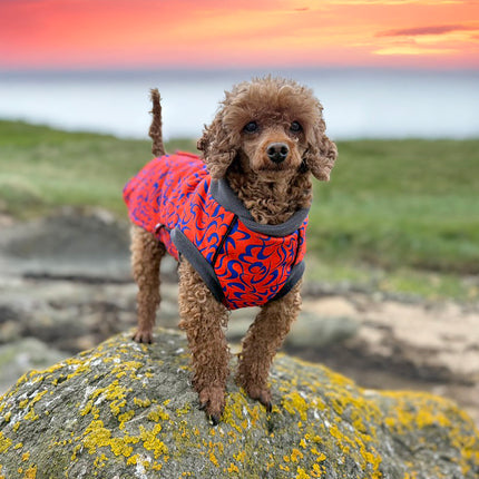 Ember Swirl McTog - Microfleece Waterproof Dog Jacket - Step In Poppers