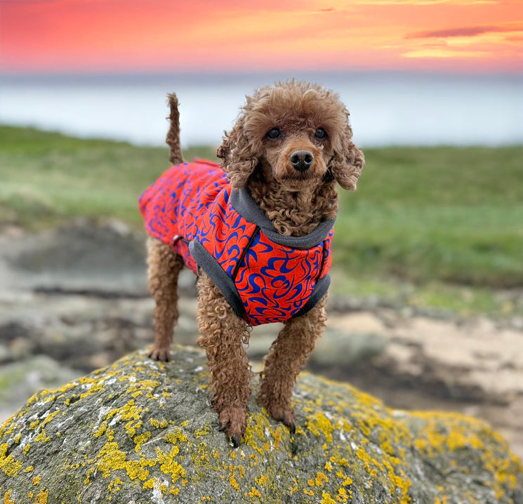 Ember Swirl McTog - Microfleece Waterproof Dog Jacket - Step In Poppers