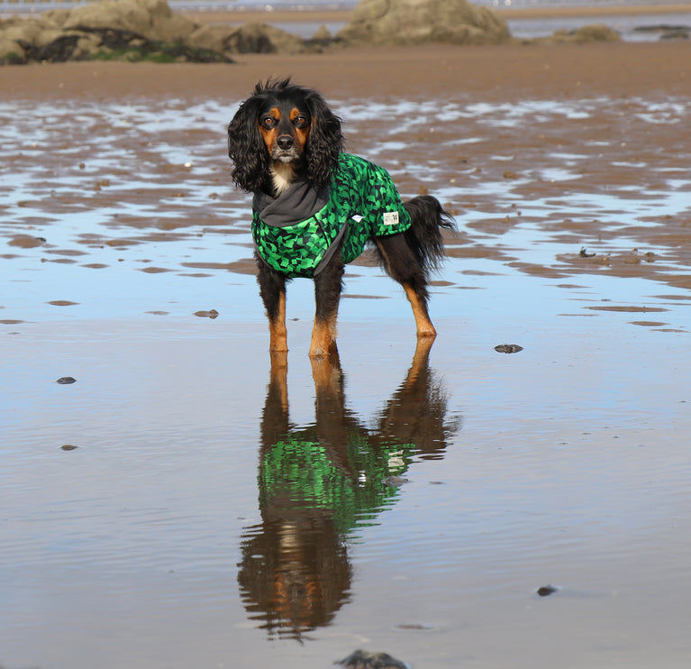 Empire McTog - Microfleece Waterproof Dog Jumper - Back Poppers