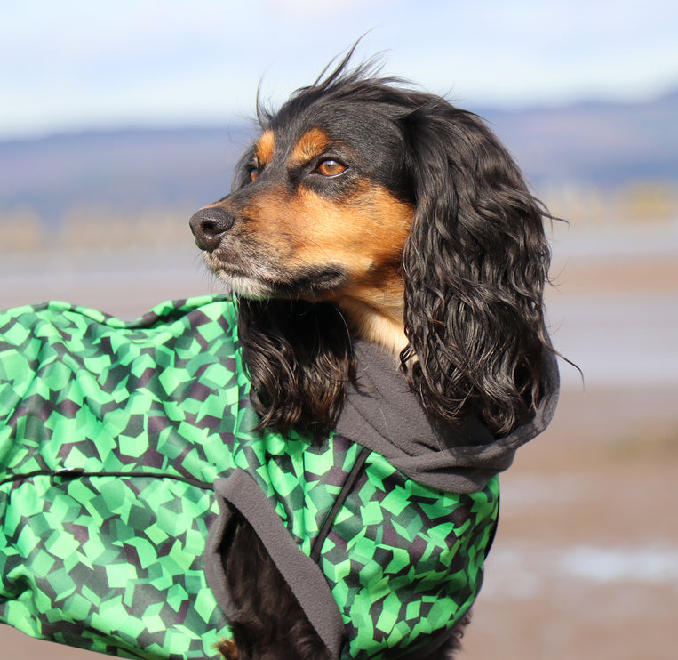 Empire McTog - Microfleece Waterproof Dog Jumper - Back Poppers