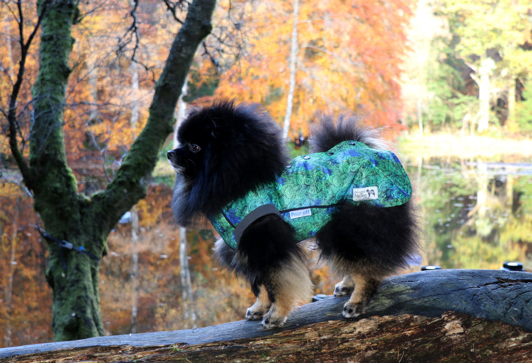 Empire McTog - Microfleece Waterproof Dog Jumper - Back Poppers