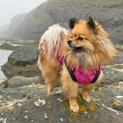 Flamingo Twist McTog - Microfleece Waterproof Dog Coat - Step In Poppers