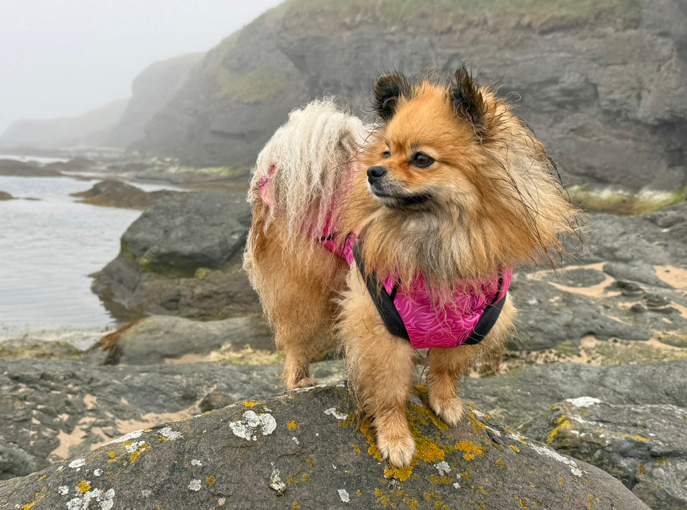 Flamingo Twist McTog - Microfleece Waterproof Dog Jacket - Step In Poppers