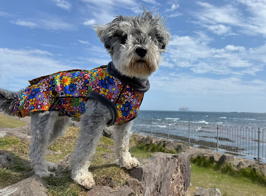 Flower Power McTog - Microfleece Waterproof Dog Jumper - Step In Poppers