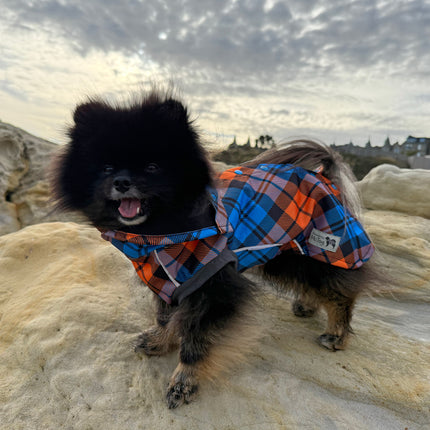 Glenndarcy McTog Highlander full popper waterproof dog coat with extended neck