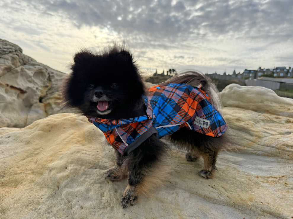 Glenndarcy McTog Highlander full popper waterproof dog coat with extended neck
