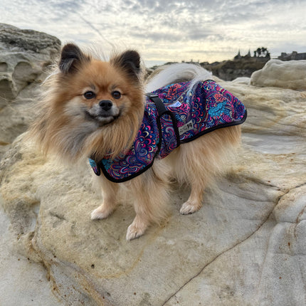 Glenndarcy RainHug Bohemian waterproof microfleece dog jacket with harness access