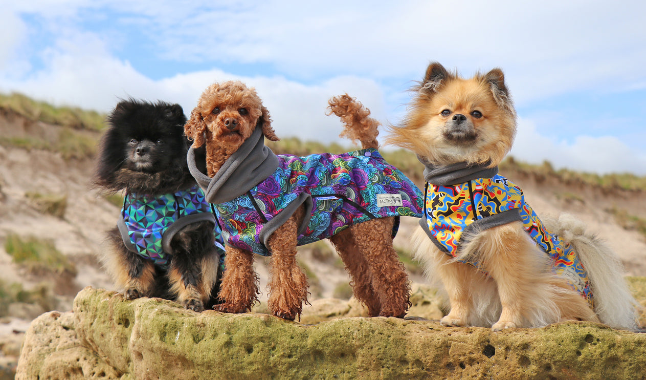 Vibe McTog - Microfleece Waterproof Dog Coat - Back Poppers