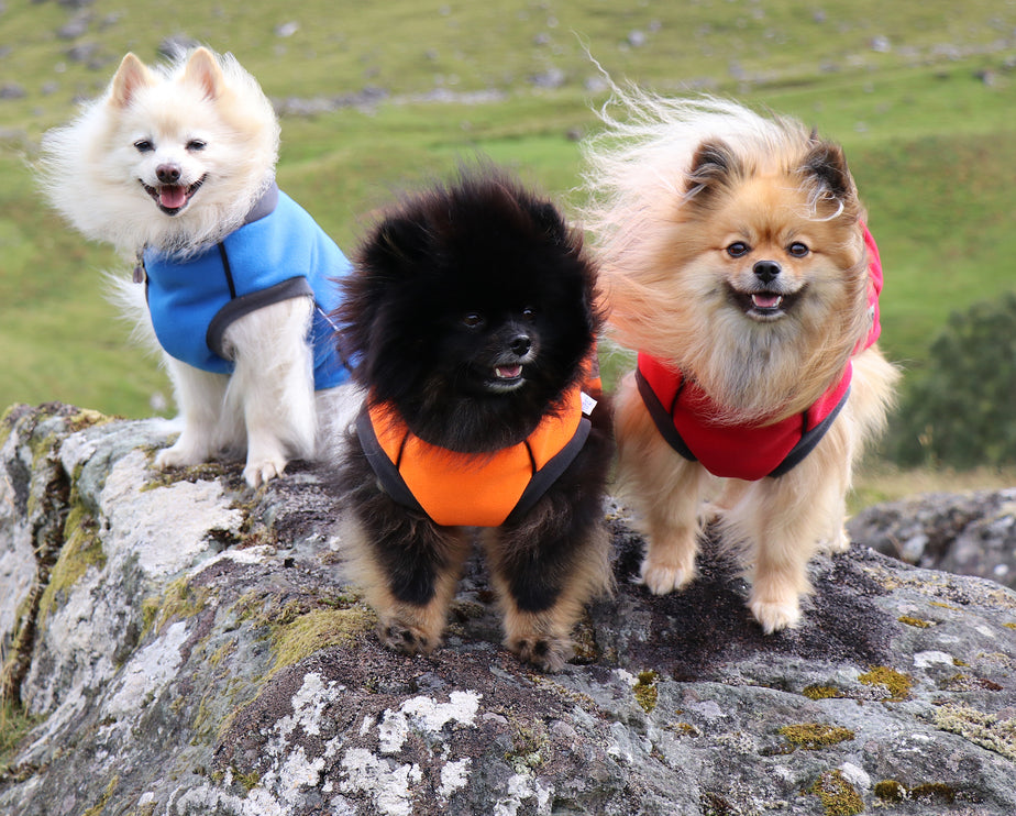 Cobalt Blue McTog - Double Layer Microfleece Waterproof Dog Coat - Step In Poppers