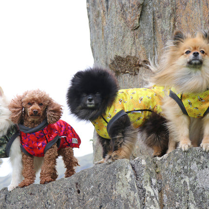 The Bee's Knees McTog - Microfleece Waterproof Dog Jacket - Step In Poppers