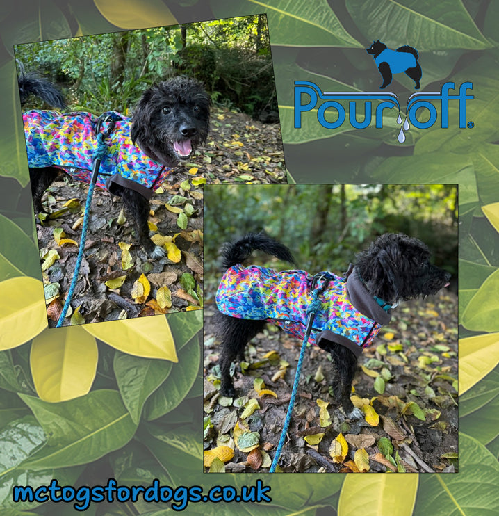 Razzle Dazzle McTog - Microfleece Waterproof Dog Sweater - Step In Poppers