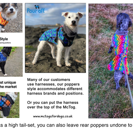 Cobalt Blue McTog - Double Layer Microfleece Waterproof Dog Sweater -  Back Poppers