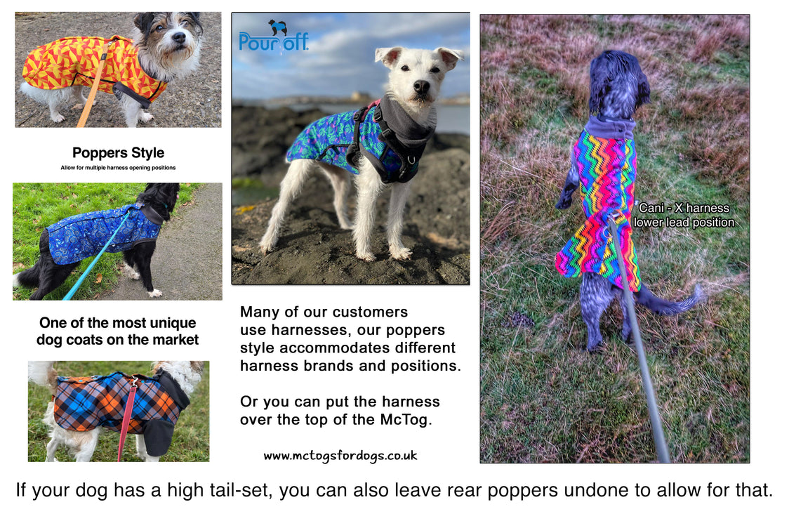 Cherry Fusion McTog - Microfleece Waterproof Dog Coat - Step In Poppers