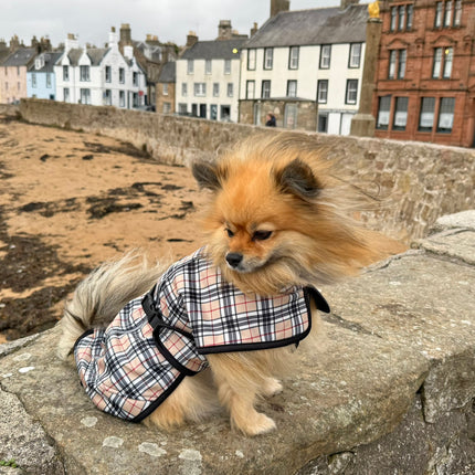 Harris RainHug waterproof dog jacket with extended neck and rear coverage