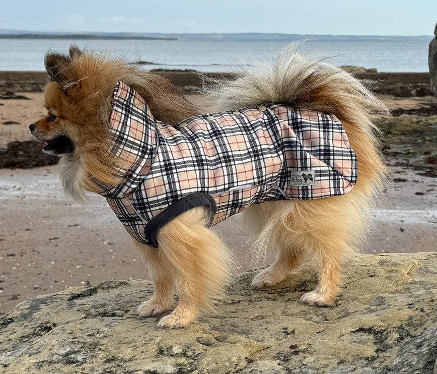 1. Glenndarcy McTog Harris tartan waterproof dog coat with high neck and full poppers