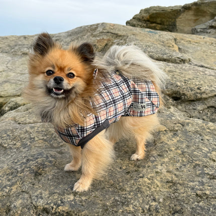 2. Harris tartan waterproof microfleece dog coat with extended waterproof neck