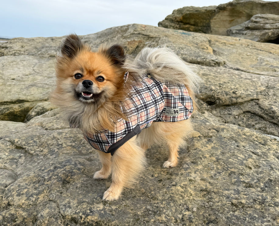 2. Harris tartan waterproof microfleece dog coat with extended waterproof neck