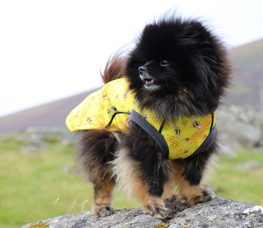 The Bee's Knees McTog - Microfleece Waterproof Dog Jacket - Step In Poppers