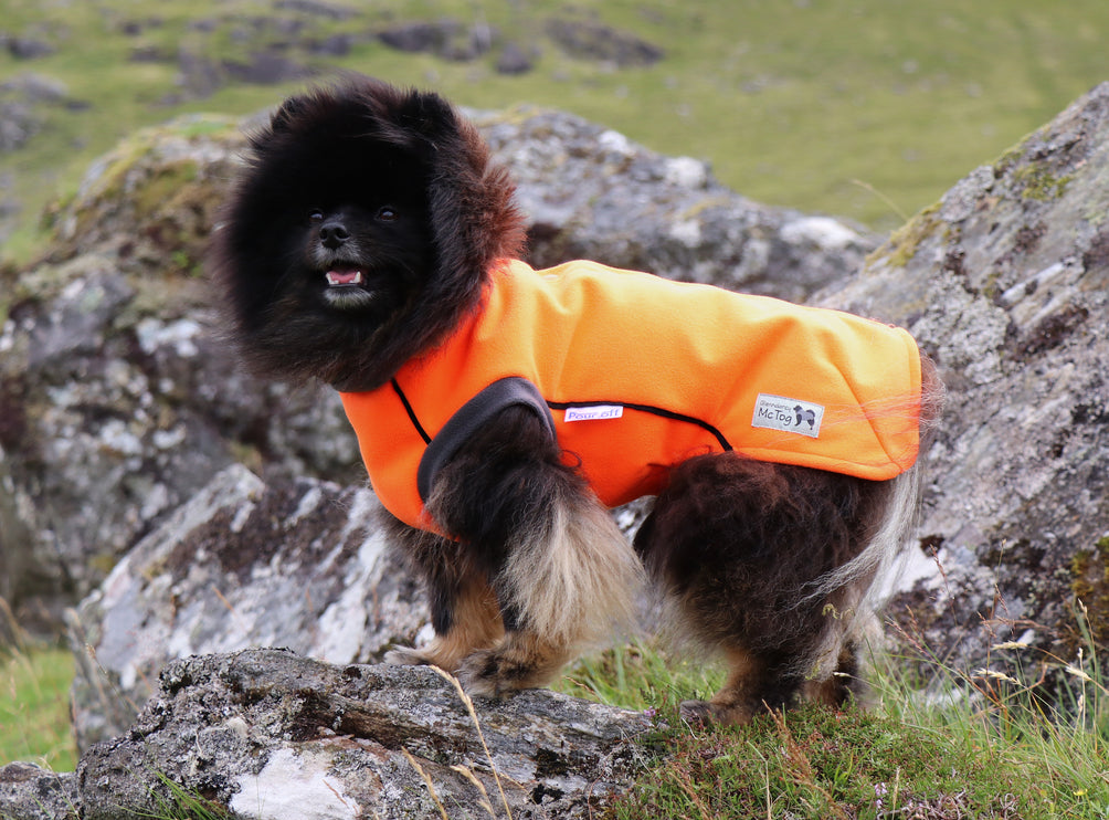 Jaffa McTog - Double Layer Microfleece Waterproof Dog Jacket - Step In Poppers