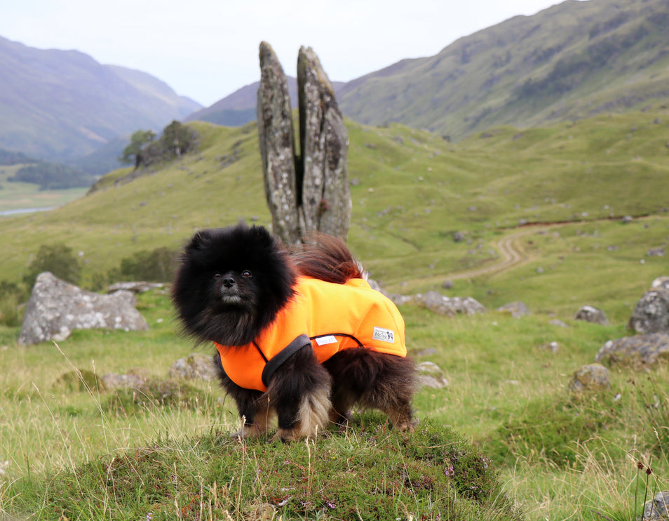 Jaffa McTog - Double Layer Microfleece Waterproof Dog Jacket - Step In Poppers