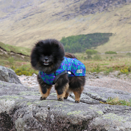 Thistle McTog - Waterproof Microfleece Dog Coat - Back Poppers