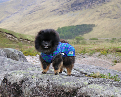 Thistle McTog - Waterproof Microfleece Dog Coat - Back Poppers