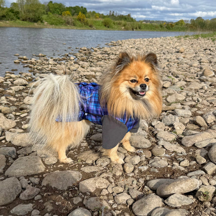 Heather Tide McTog - Microfleece Waterproof Dog Jumper - With Sleeves - Step In Poppers