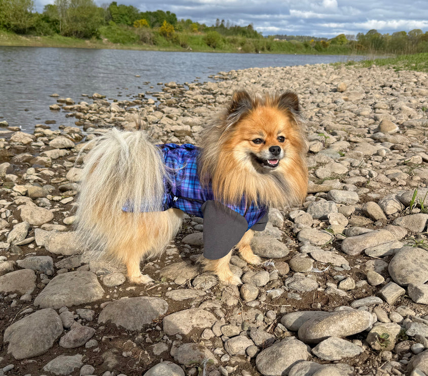 Heather Tide McTog - Microfleece Waterproof Dog Jumper - With Sleeves - Step In Poppers