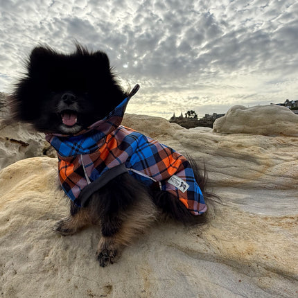 High neck waterproof dog coat in Highlander pattern with full back poppers