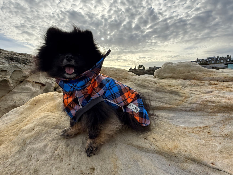 High neck waterproof dog coat in Highlander pattern with full back poppers