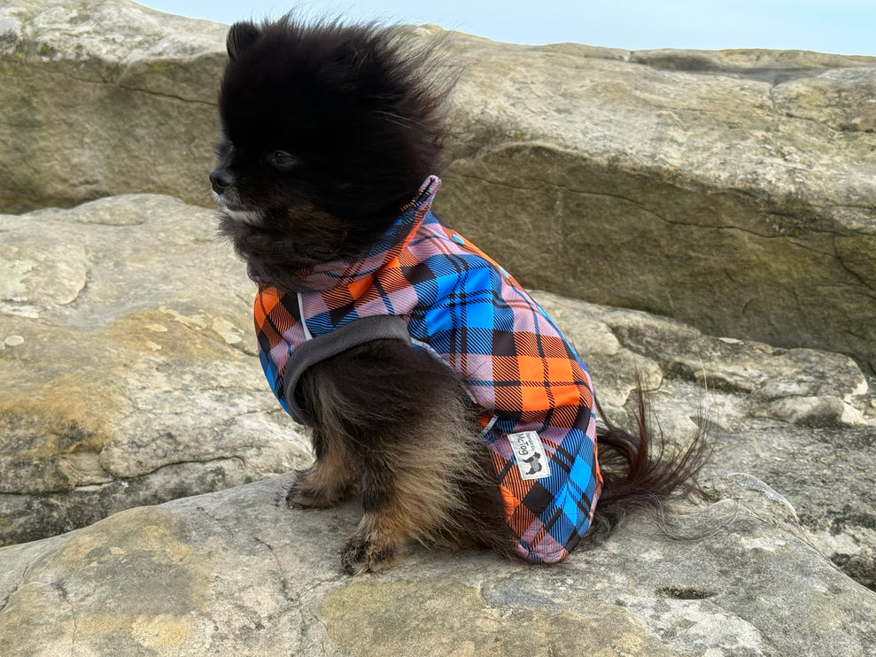 Highlander waterproof dog coat with flexible harness access and full popper fastening