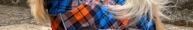 Glenndarcy McTog Highlander waterproof dog coat with high neck and full poppers