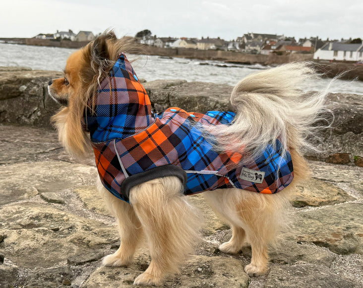 Glenndarcy McTog Highlander waterproof dog coat with high neck and full poppers