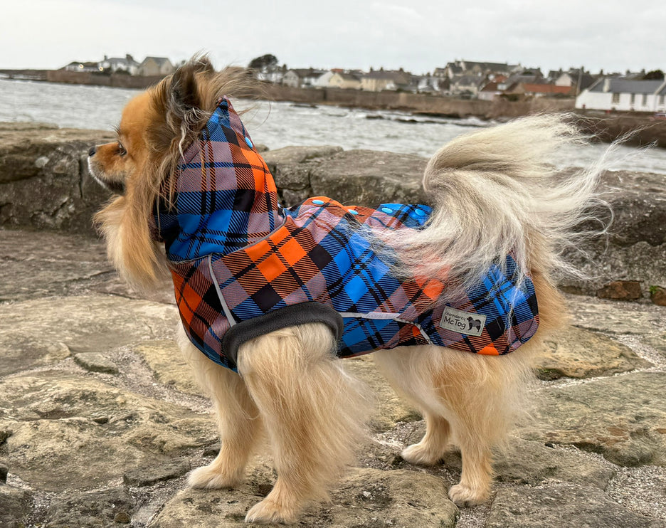 Glenndarcy McTog Highlander waterproof dog coat with high neck and full poppers