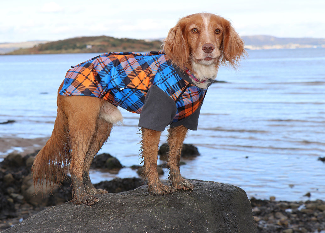 The Highlander McTog - Microfleece Waterproof Dog Jumper - With Sleeves - Step In Poppers